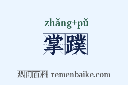掌蹼是什么意思的图片